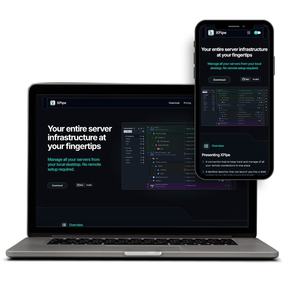 XPipe, a Branding, UI/UX & Web Development project built by Netrex Solutions